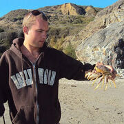 ���������� ���������, ���� ������� ����, 36 ���, ������������ ��� ������, ����� � ���������, c�������� ���������, ���������