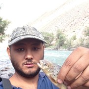 ���������� ������, ���� ������� ����, 38 ���, ������������ ��� ���������