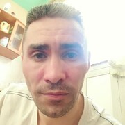   ,  , 41