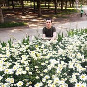 ���������� ������, ���� ������� ����, 43 ����, ������������ ��� ������, ����� � ���������, c�������� ���������, ���������