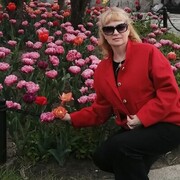 ���������� ������, ���� ������� ����, 60 ���, ������������ ��� c�������� ���������