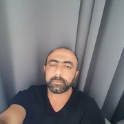  ,  elo, 43