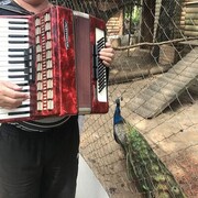   ,   , 66 ,   ,   