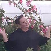 ���������� ������������, ���� ������� �����, 49 ���, ������������ ��� ������, ����� � ���������