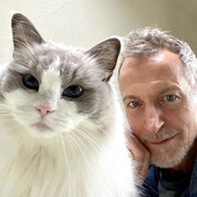 ���������� ������, ���� ������� Marshall, 48 ���, ������������ ��� ������, ����� � ���������, c�������� ���������, ���������