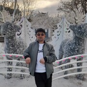 ���������� ����������, ���� ������� ���, 43 ����, ������������ ��� ����� � ���������