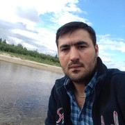  ,   Qalib, 37 ,   ,   , c 