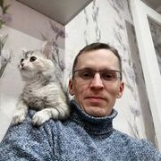 ���������� ������, ���� ������� �������, 41 ���, ������������ ��� ������, ����� � ���������, c�������� ���������