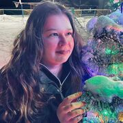 ���������� �������, ���