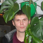 ���������� ������, ���� ������� ����, 40 ���, ������������ ��� ������, ����� � ���������, c�������� ���������