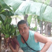  ,   , 53 ,   