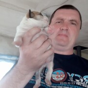  ,   , 48 ,  