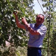  ,   Elcin, 58 ,   