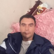  -,   , 41