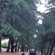  ,   , 31 ,   ,   