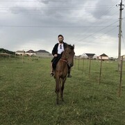  ,   , 42 ,   ,   