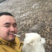   ,   , 38 ,  