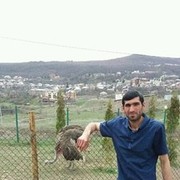  ,   Edgar, 37 ,     , c 