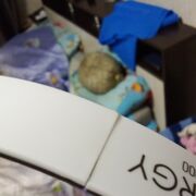  ,   , 24 ,   ,   , c , 