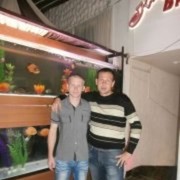  ,   , 38 ,   ,   , c 