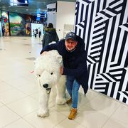 ���������� ���������, ���� ������� ������, 38 ���, ������������ ��� ������, ����� � ���������, c�������� ���������, ���������