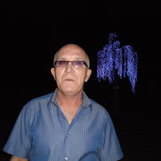  ,   , 66 ,   