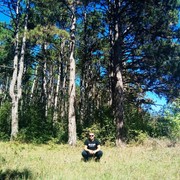 ���������� ������, ���� ������� ��, 39 ���, ������������ ��� ������, ����� � ���������, c�������� ���������