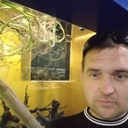  ,   , 43 ,   c , 
