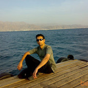 ���������� �����, ���� ������� ����������, 43 ����, ������������ ��� ������