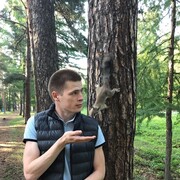 ���������� ���������, ���� ������� �������, 28 ���, ������������ ��� ������, ����� � ���������, c�������� ���������