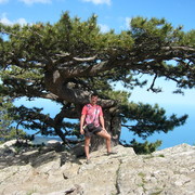  ,   Alexander, 44 ,   