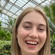 ���������� �����, ���������