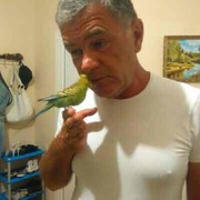  ,   , 59 ,   