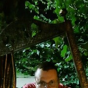  ,   , 46 ,     , c 