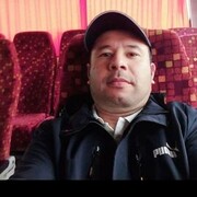 ���������� �����������, ������� �����, 37