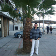  ,   , 36 ,   