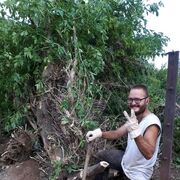  ,   Maxim, 37 ,   c 