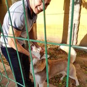  ,    , 28 ,   ,   , c , 