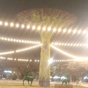 ���������� �������, ���� ������� Marom, 58 ���, ������������ ��� ������, ����� � ���������, c�������� ���������