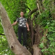 ���������� ������������, ���� ������� ������, 47 ���, ������������ ��� ������, ����� � ���������, c�������� ���������, ���������