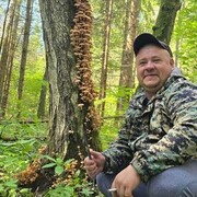 ���������� ��������, ���� ������� �������, 43 ����, ������������ ��� ������, ����� � ���������, c�������� ���������