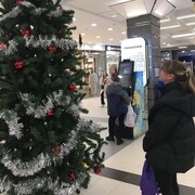 ���������� �����-���������, ���� ������� ���������, 21 ���, ������������ ��� ������, ����� � ���������