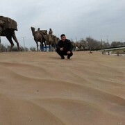 ���������� ������, ���� ������� �����  ���, 43 ����, ������������ ��� ������, ����� � ���������