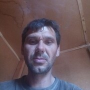  -,   , 44 ,   ,   