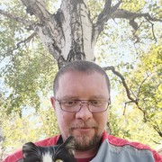 ���������� ��������, ���� ������� ������, 43 ����, ������������ ��� ������, ����� � ���������, c�������� ���������