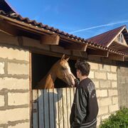 ���������� �����-���������, ���� ����� ������, 22 ����, ������������ ��� ������, ����� � ���������