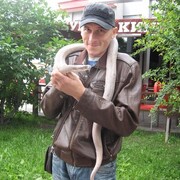 ���������� ����������, ���� ������� ��������, 39 ���, ������������ ��� ������, ����� � ���������