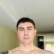  -,   , 49 ,   ,   , c 