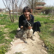  ,   Dan, 36 ,   ,   , c 