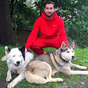 ���������� ����, ���� ������� ������, 43 ����, ������������ ��� ������, ����� � ���������, c�������� ���������